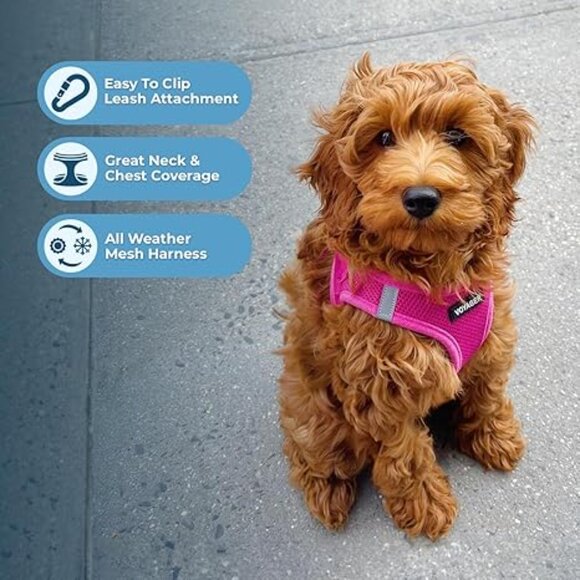 Voyager Dog Harness + Matching Leash – Fuchsia (Size Small) - Picture 3 of 8